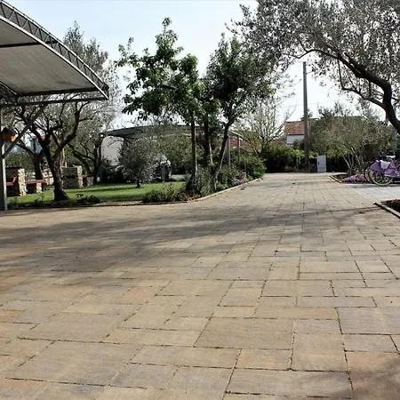 In Zaton Zadar With Sea View, Terrace, Air Conditioning Wifi 3608-1 Appartamento